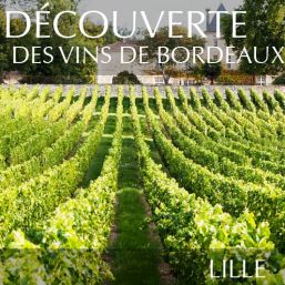 Comprendre les vins de Bordeaux à Lille