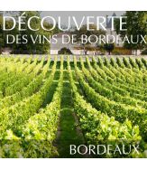 Comprendre les vins de Bordeaux à Bordeaux