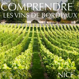 Comprendre les vins de Bordeaux à Nice
