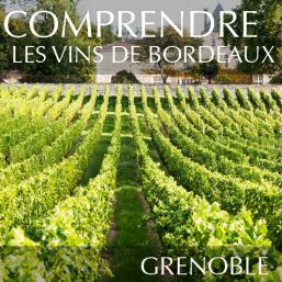 Comprendre les vins de Bordeaux à Grenoble