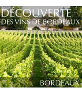 Comprendre les vins de Bordeaux à Lille