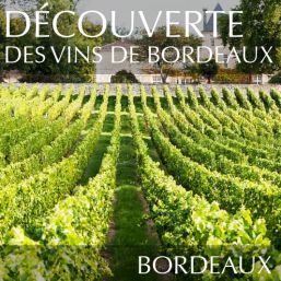 Découverte des vins de Bordeaux à Nantes