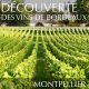 Découverte des vins de Bordeaux à Montpellier