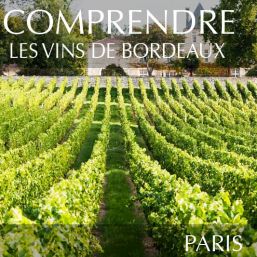 Comprendre les vins de Bordeaux à Paris