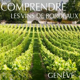 Comprendre les vins de Bordeaux à Genève