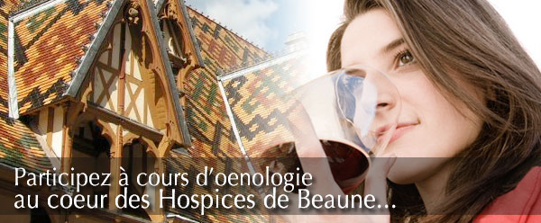 cours d'oenologie Bourgogne