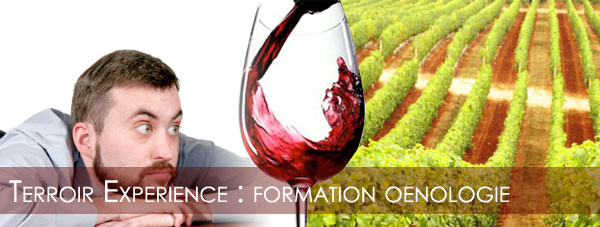 Formation oenologie avec Terroir Experience