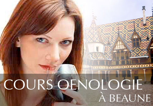 Cours d'oenologie aux Hospices de Beaune