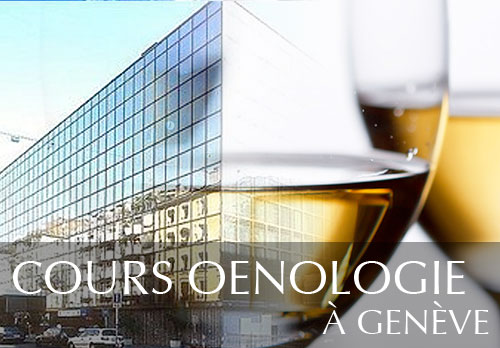 Cours oenologie au Novotel de Genève