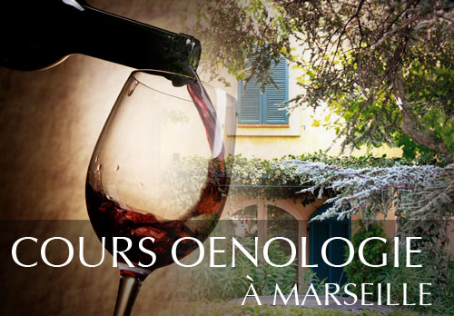 Cours oenologie au New Hotel Bompard of Marseille