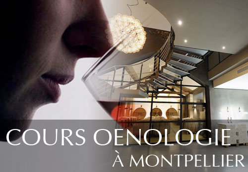 Cours d'oenologie à Montpellier et dégustation