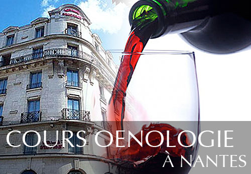 Cours d'oenologie au Mercure de Nantes