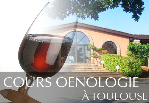 Cours d'oenologie au domaine Estolosa